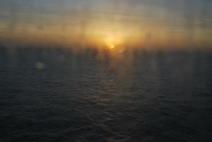 '..of all the women carrying sadness in their wombs forced to seek help far from family and home'