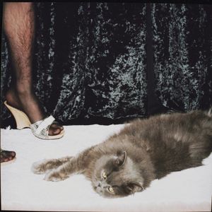 Alexander and the cat (2009)