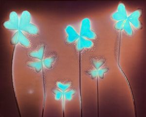 Clover on Velvia 4x5 - © Erin McGuire