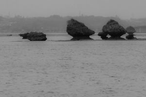 Drizzling Bay-03