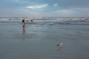 Watching Waves