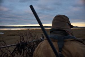 Duck Hunt