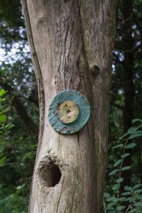 Demarcations  Detail