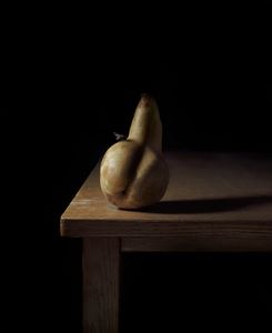 Pear and fly