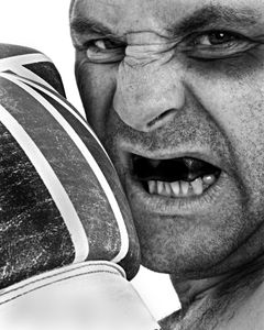 The Boxer