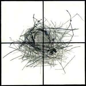 Nest I, 2009                                              32"h x 32"w x 1.5"d                                         archival pigment prints & encaustic on panels                                                    © Christa Bowden