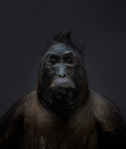 Portrait I