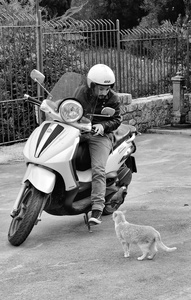 No helmet, no ride.