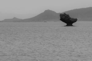 Drizzling Bay-06