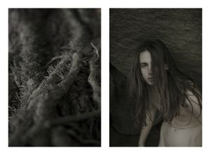Leaves of Grass - AS Adam, early in the morning - 2017