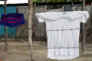 Dry clothes in the sunshine