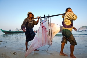 Catch of the year.