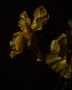 Texture and decay I