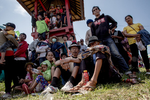 THE SPECTATORS