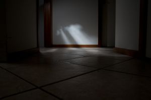 Light on the Plains