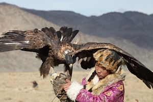 Eagle hunters