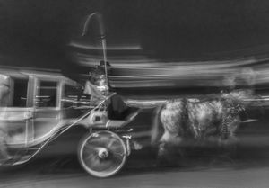 A horses