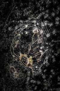 Concrete universe 1