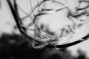 Dreamcatcher
