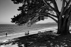 Butterfly Beach