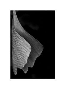 Untitled #24