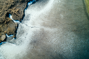 Lakeshore Operations | Ground Level Series #04