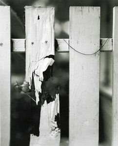 Fences