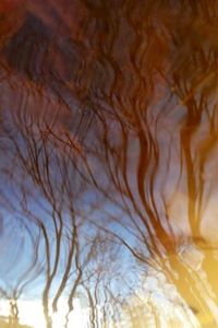 Reflecting Sky 2
