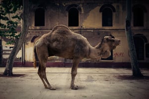 There are more directions