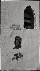 A wall at Forio, Isle of Ischia, 2016