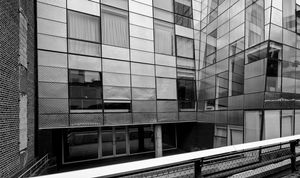 New York High Line #13