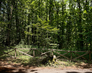 Fiuggi, Park II
