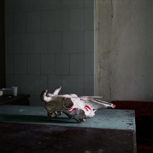 Work from series "Ilgas"