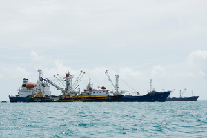 Impact of overfishing #19