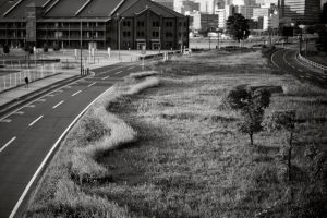 Nature in artificial things