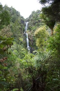 Kitekite falls