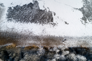 Lakeshore Operations | Ground Level Series #02