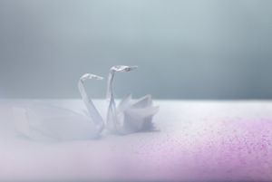 Sakura Lake (2015), Series: Odd Familiar