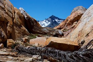 Mount Price 9,975'