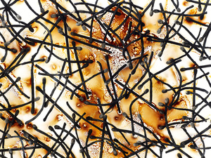 Burnt Matchsticks