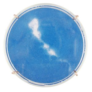 Chlamydia trachomatis (detail)