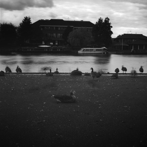 River Thames, Reading, UK