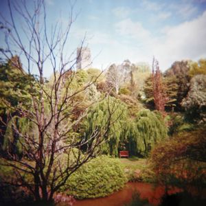 petruckevitch_ann_15