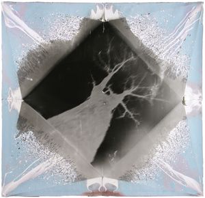 Paper Camera, Large_06, Gelatin Silver, 2012 © Ross Faircloth