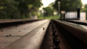 Railway centipede