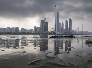 Abu Dhabi harbour.