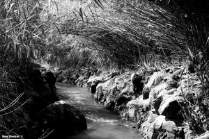 A day by the river 7