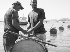Barrels in the Bay