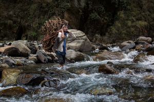 SWEET GOLD - The honey hunters of Nepal