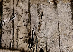 The Natural order-22